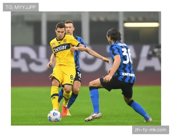 官方：佛罗伦萨后卫米伦科维奇因膝伤赛季报销